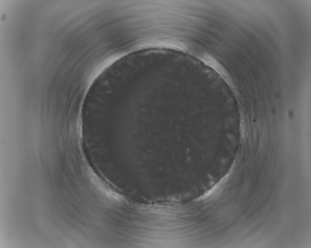 X0000066121028200603171749