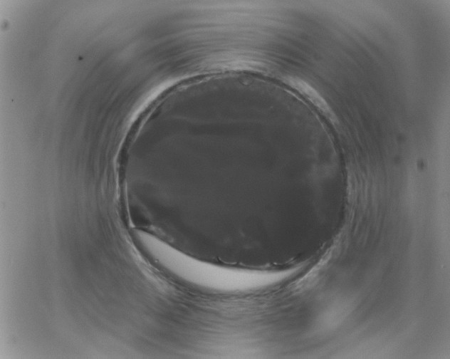 X0000066121031200603171749