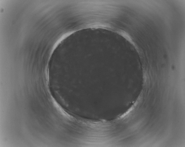 X0000066121032200603171749