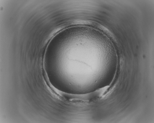 X0000066121033200603171749