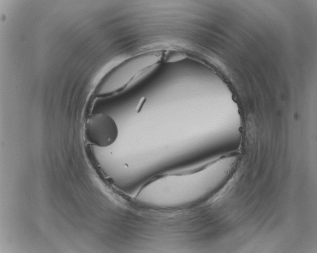 X0000066121034200603171749