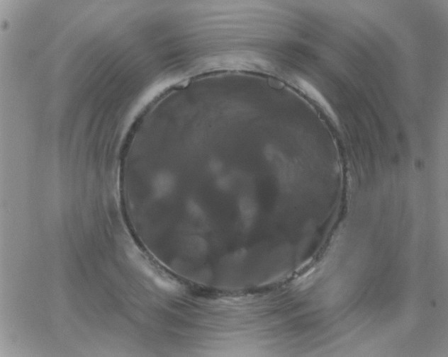 X0000066121035200603171749