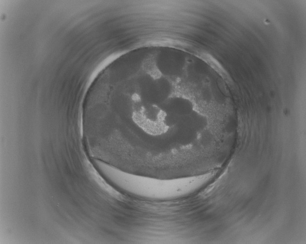 X0000066121036200603171749