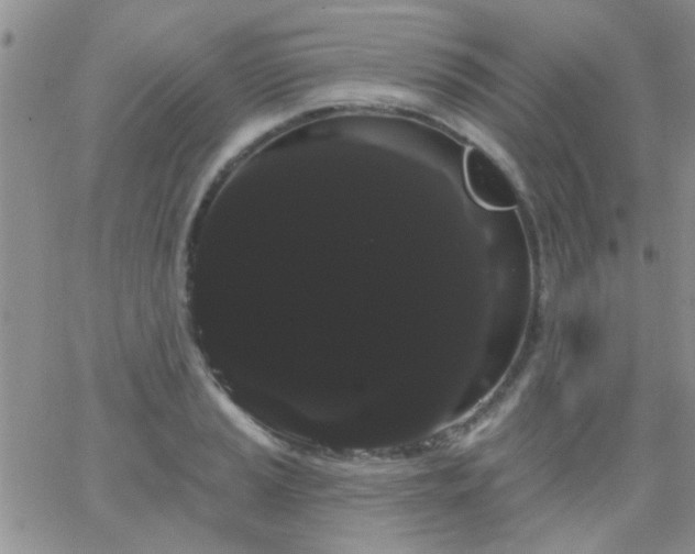 X0000066121037200603171749