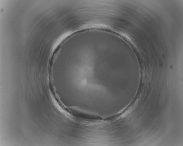 X0000066121038200603171749