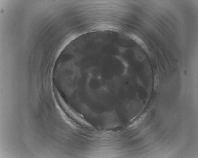 X0000066121039200603171749