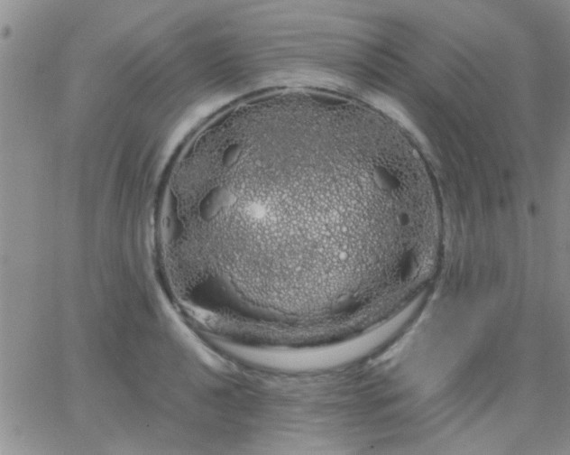 X0000066121040200603171749