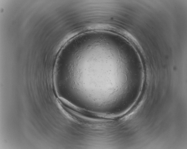 X0000066121041200603171749