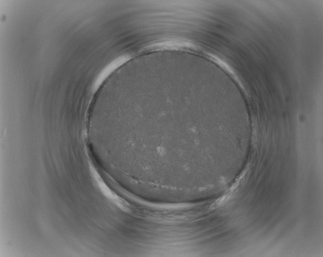 X0000066121042200603171749