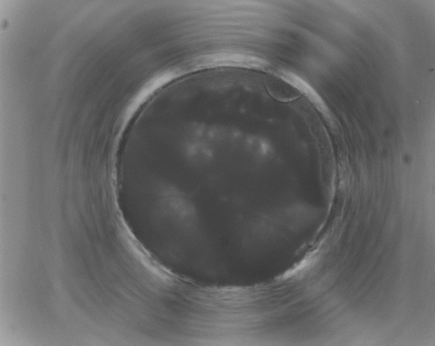 X0000066121043200603171749