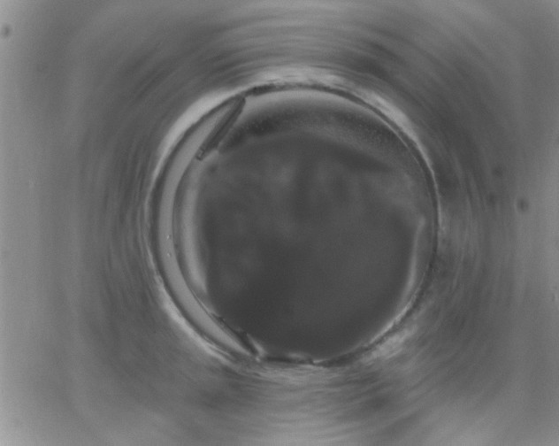 X0000066121045200603171749