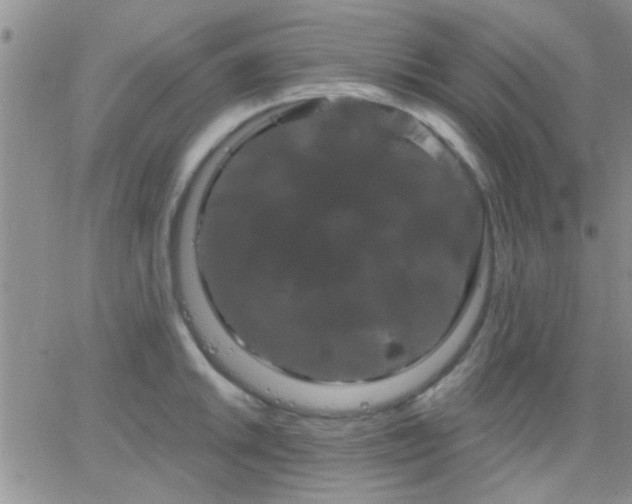 X0000066121046200603171749