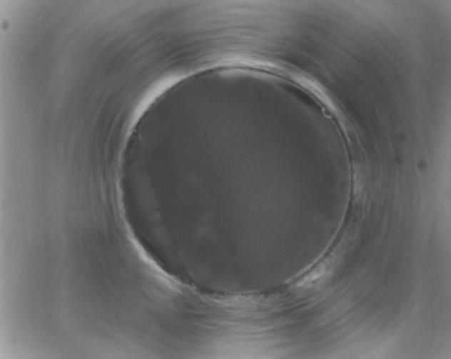 X0000066121048200603171749