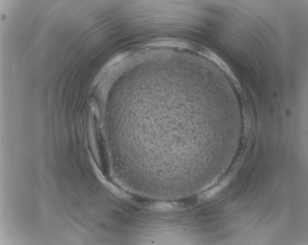 X0000066121049200603171749