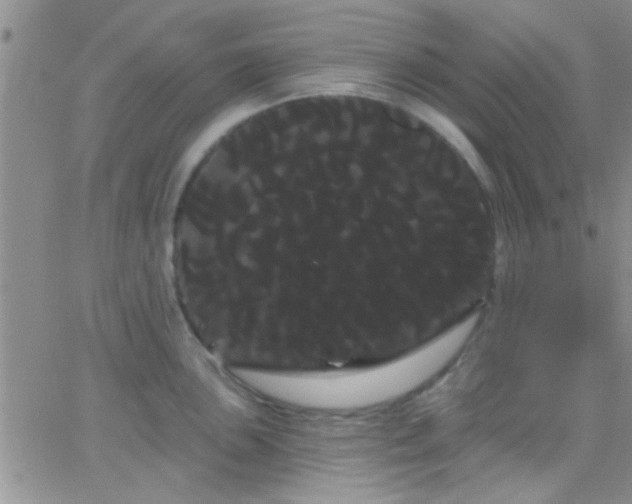 X0000066121051200603171749