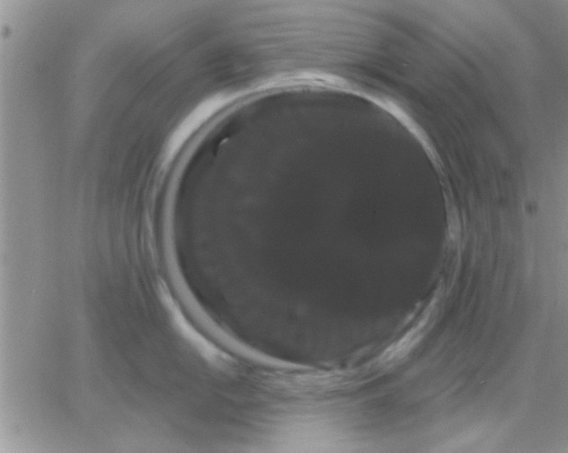 X0000066121054200603171749