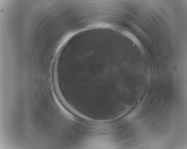 X0000066121055200603171749