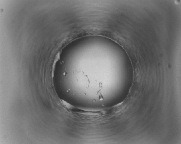 X0000066121057200603171748