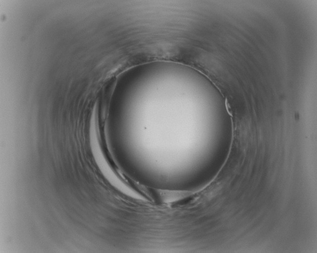 X0000066121058200603171748