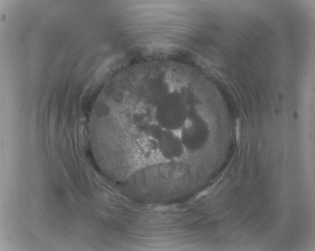 X0000066121059200603171748