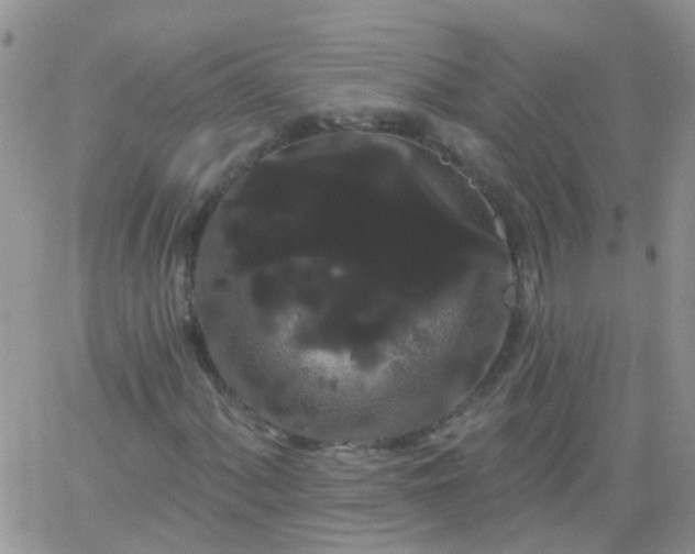 X0000066121060200603171748