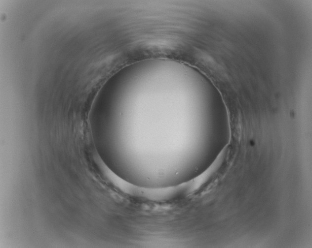 X0000066121061200603171748