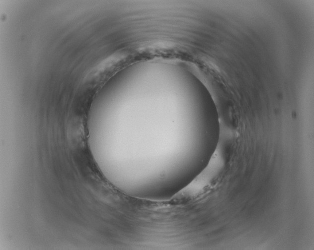 X0000066121062200603171748