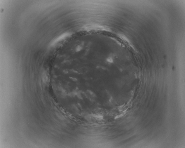 X0000066121063200603171748