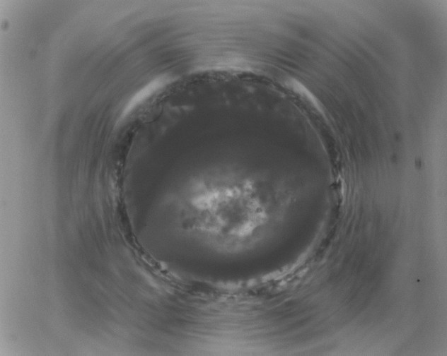 X0000066121064200603171748