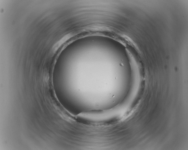 X0000066121065200603171748