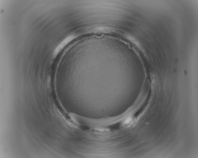 X0000066121066200603171748