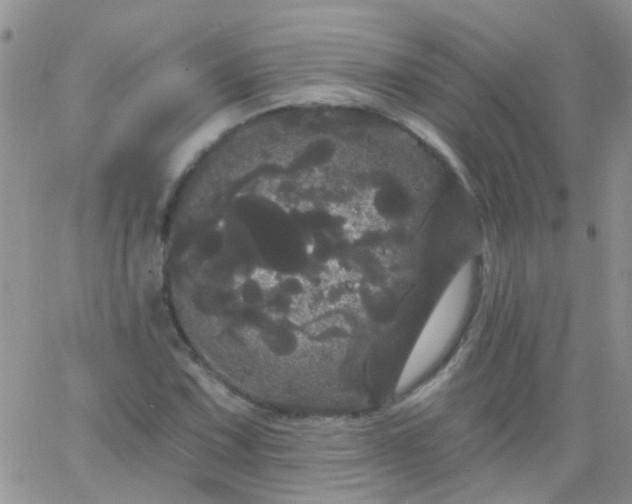 X0000066121067200603171748