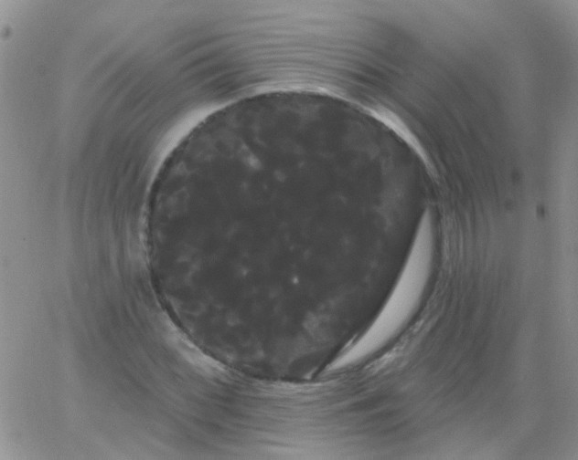 X0000066121068200603171748