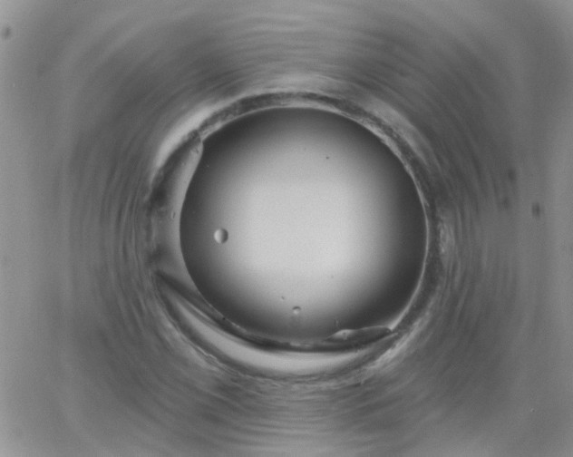 X0000066121069200603171748