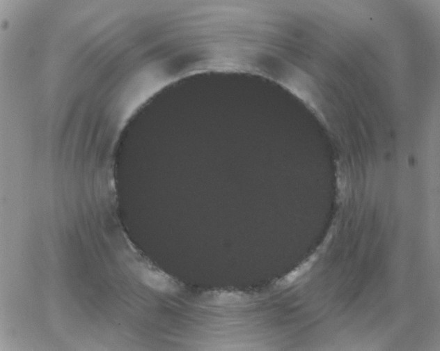 X0000066121070200603171748