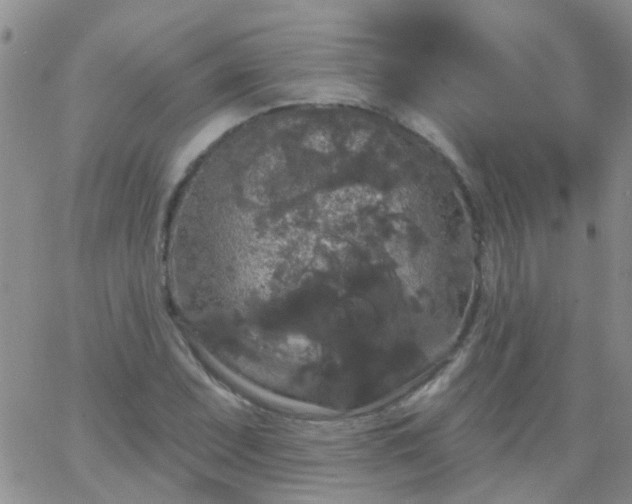 X0000066121071200603171748