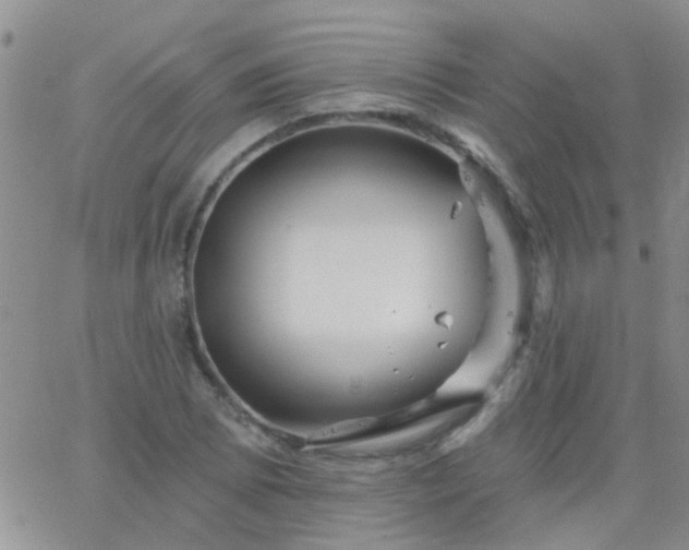 X0000066121073200603171748