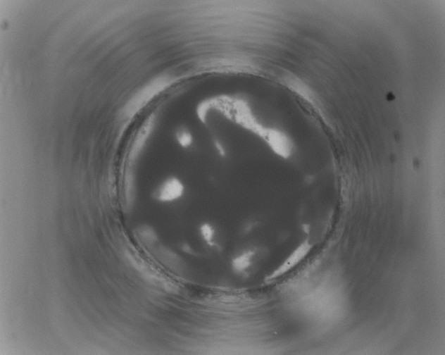 X0000066121074200603171748