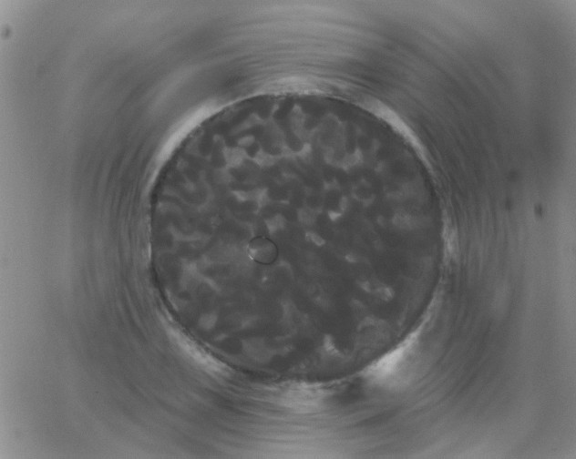 X0000066121075200603171748