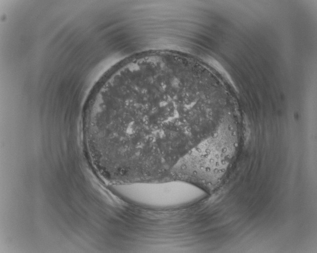 X0000066121076200603171748