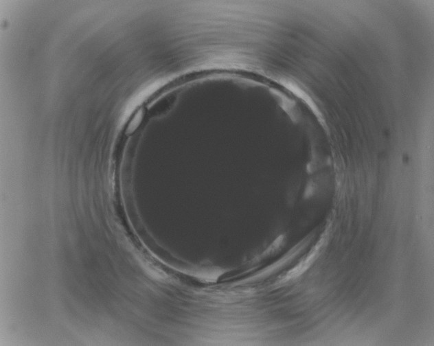 X0000066121077200603171748