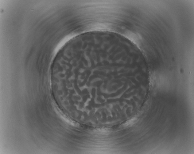 X0000066121078200603171748