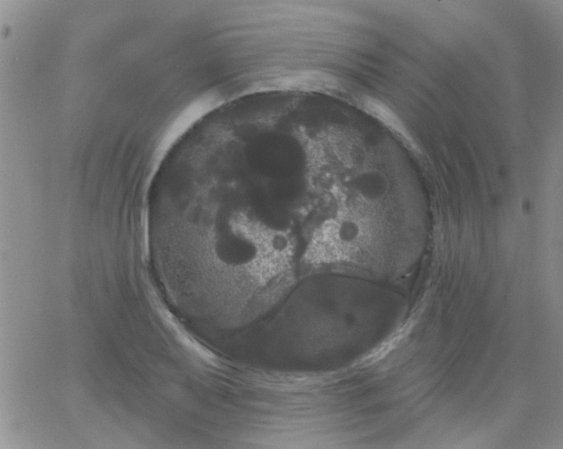 X0000066121079200603171748