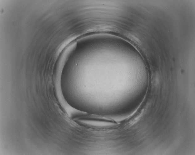 X0000066121081200603171748