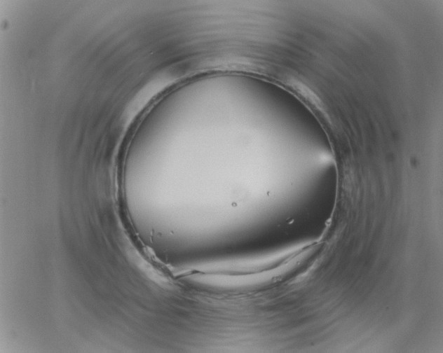 X0000066121082200603171748