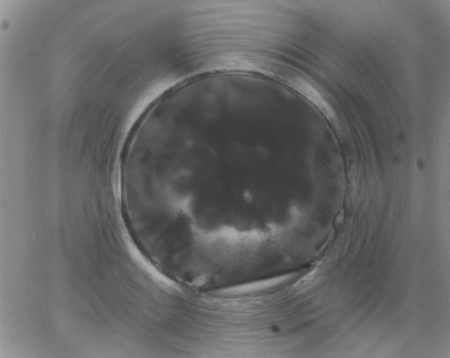 X0000066121084200603171748