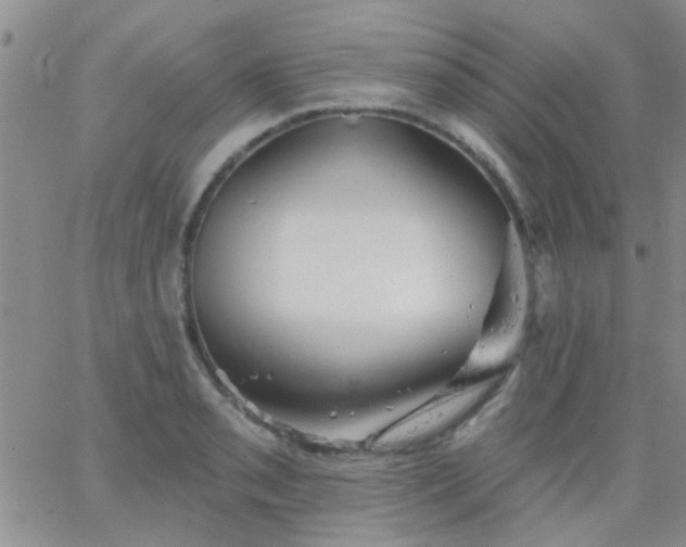 X0000066121085200603171748