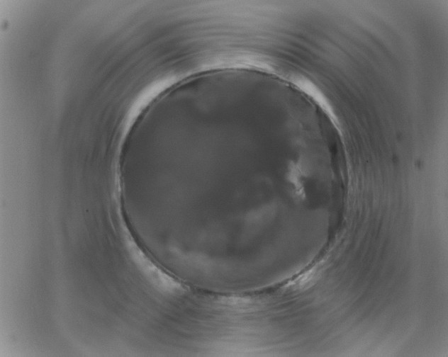 X0000066121088200603171748