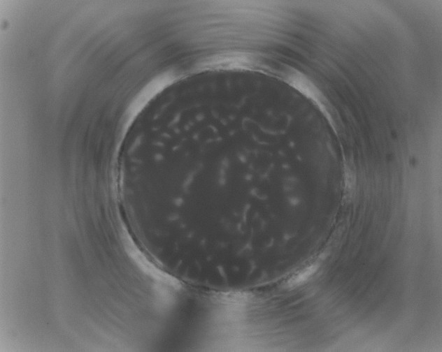 X0000066121090200603171748