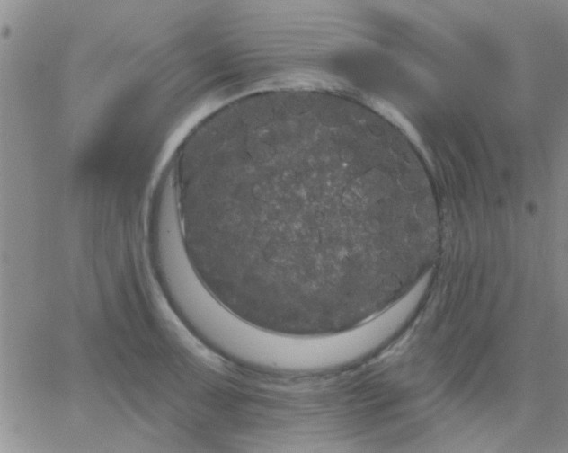 X0000066121091200603171748